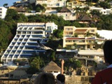 arcitecture_n_bird