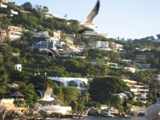 view_from_the_boat