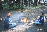 Marshmallows